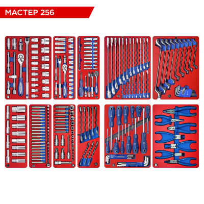 МАСТАК Набор инструментов 256 предметов, "МАСТЕР 256", для тележки, 11 ложементов