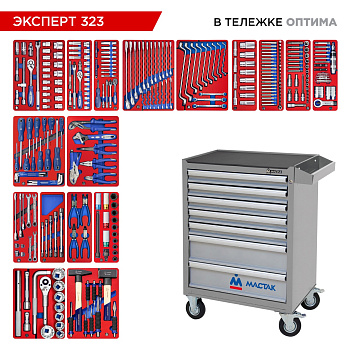 МАСТАК Набор инструментов 323 предмета, "ЭКСПЕРТ 323", в серой тележке